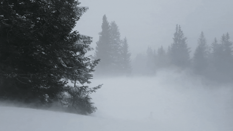a dungeon masters imagination of a winter wind